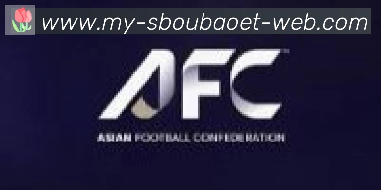 利记sbobet体育合作伙伴
